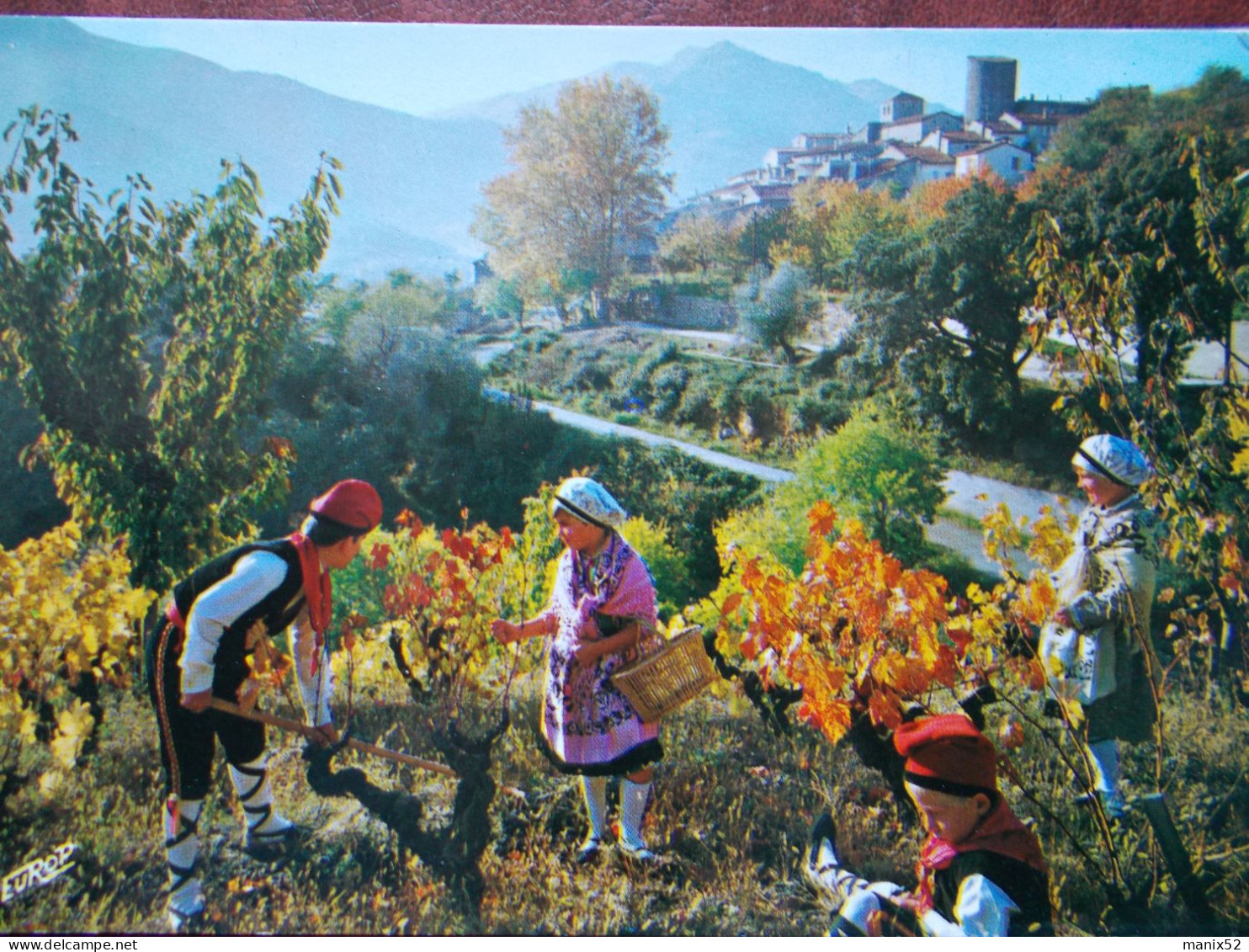 RÉGION - ROUSSILLON - Son Folklore... Ses Vignes... - Languedoc-Roussillon