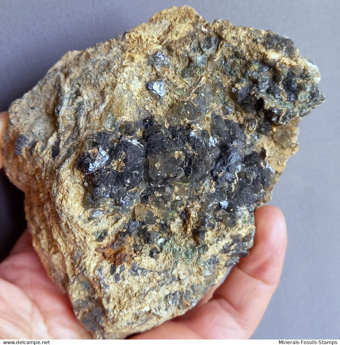 #1.52 Cristalli Nero-blu QUARZO 'beta' Con Rose Di Barite (Modena, Italia) - Minéraux