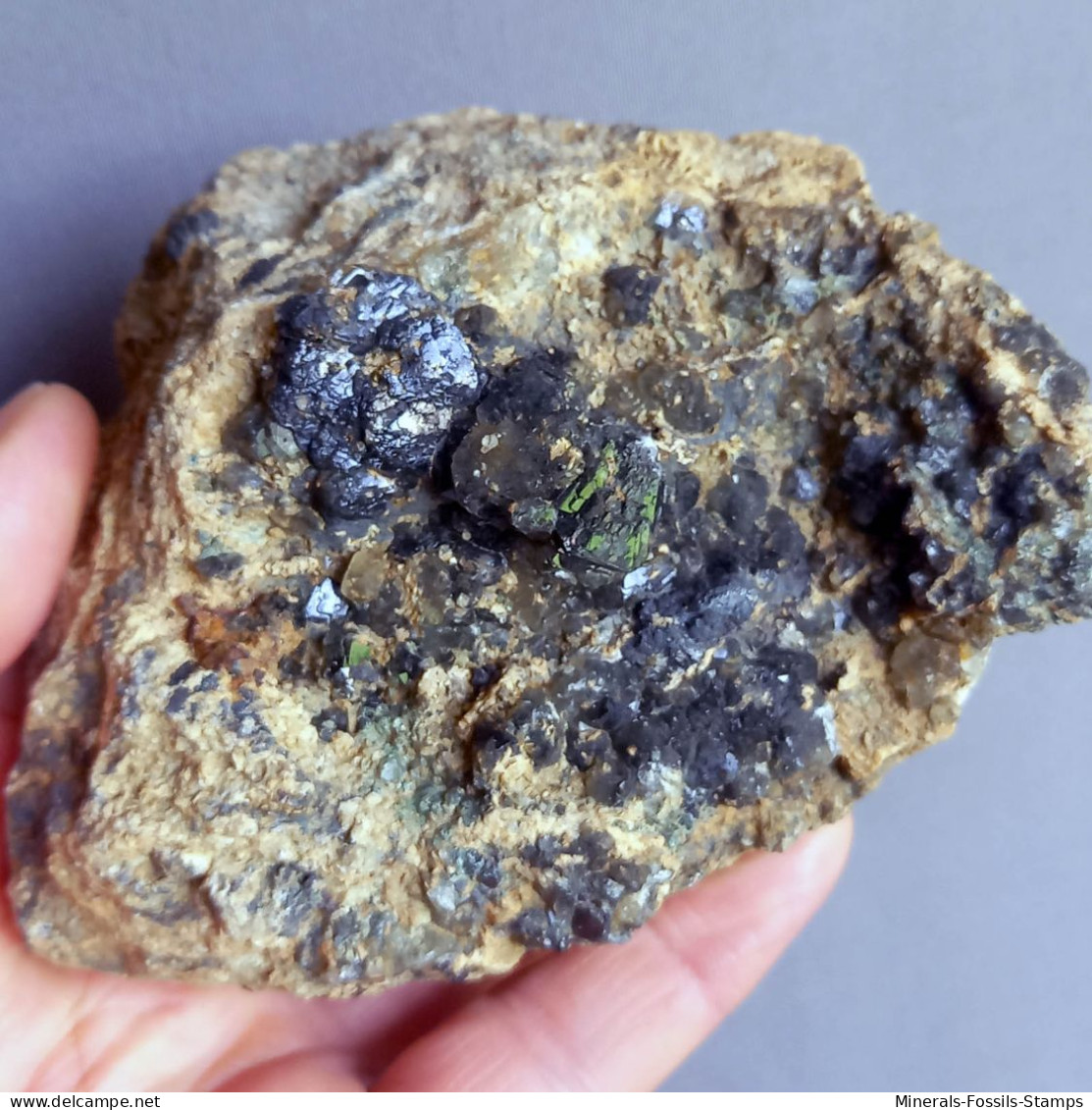 #1.52 Cristalli Nero-blu QUARZO 'beta' Con Rose Di Barite (Modena, Italia) - Mineralien