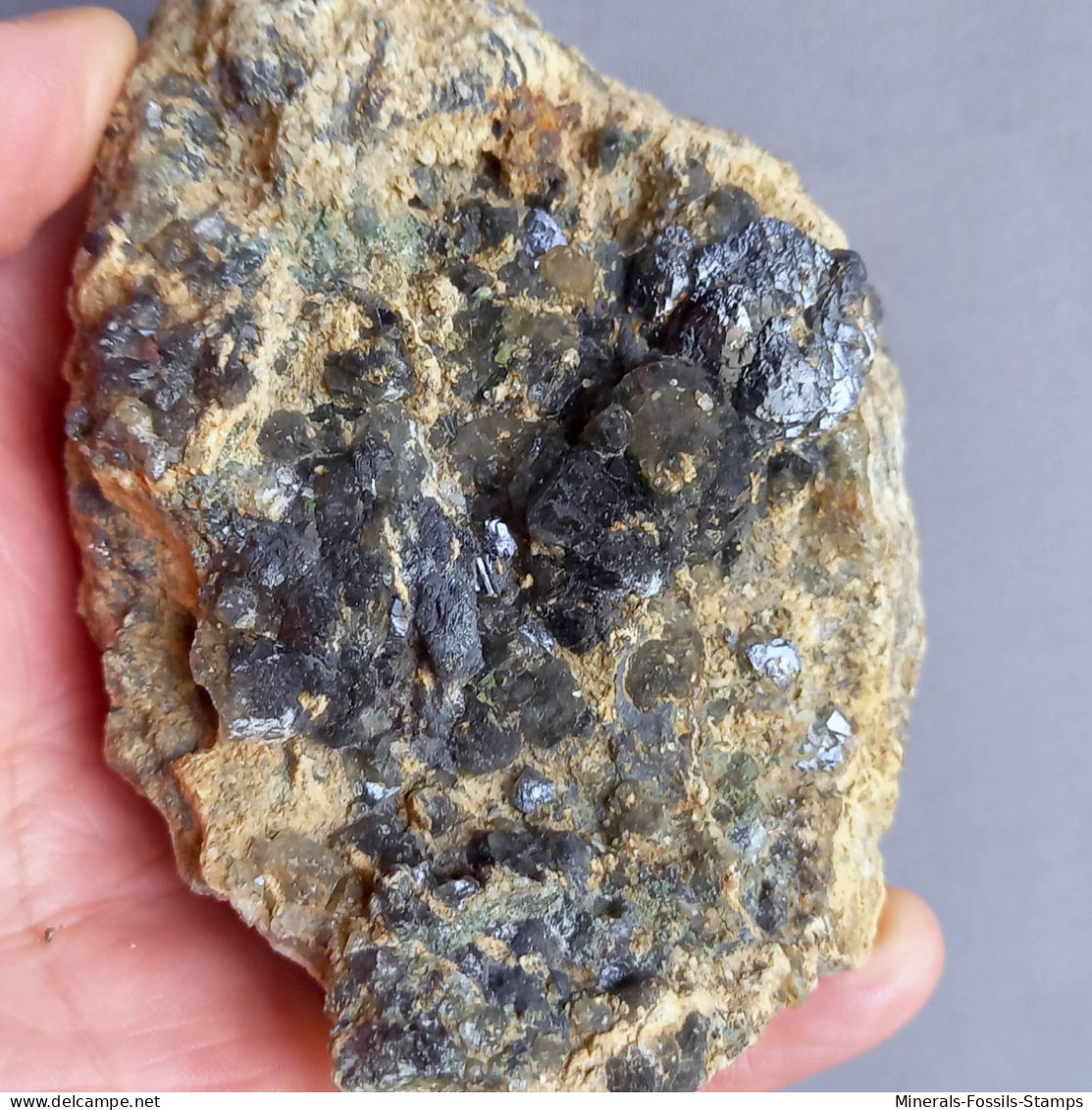 #1.52 Cristalli Nero-blu QUARZO 'beta' Con Rose Di Barite (Modena, Italia) - Mineralien