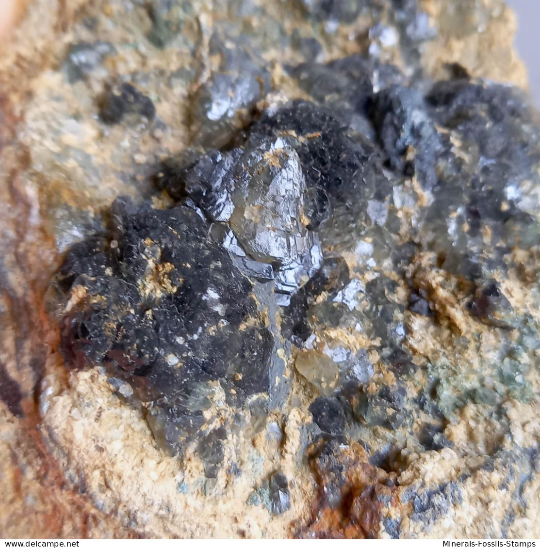 #1.52 Cristalli nero-blu QUARZO 'beta' con rose di Barite (Modena, Italia)