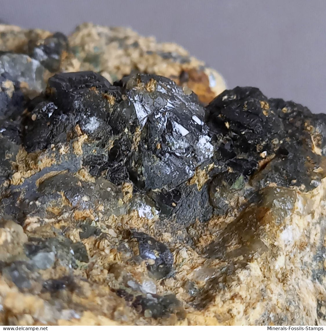 #1.52 Cristalli nero-blu QUARZO 'beta' con rose di Barite (Modena, Italia)