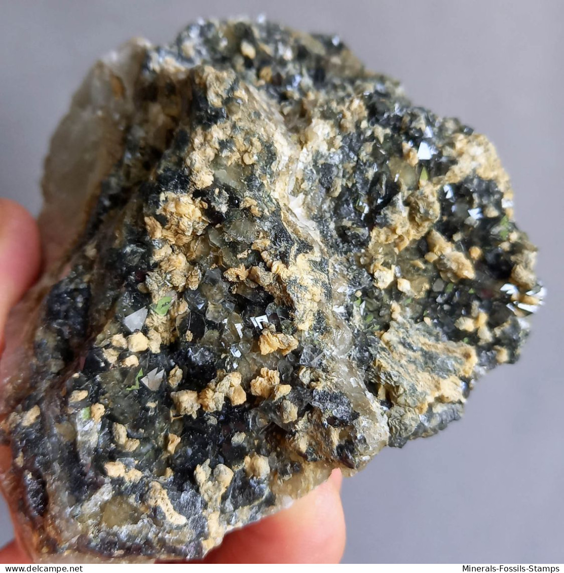 #1.53 Cristalli Nero-blu QUARZO 'beta' Con Rose Di Barite (Modena, Italia) - Minéraux