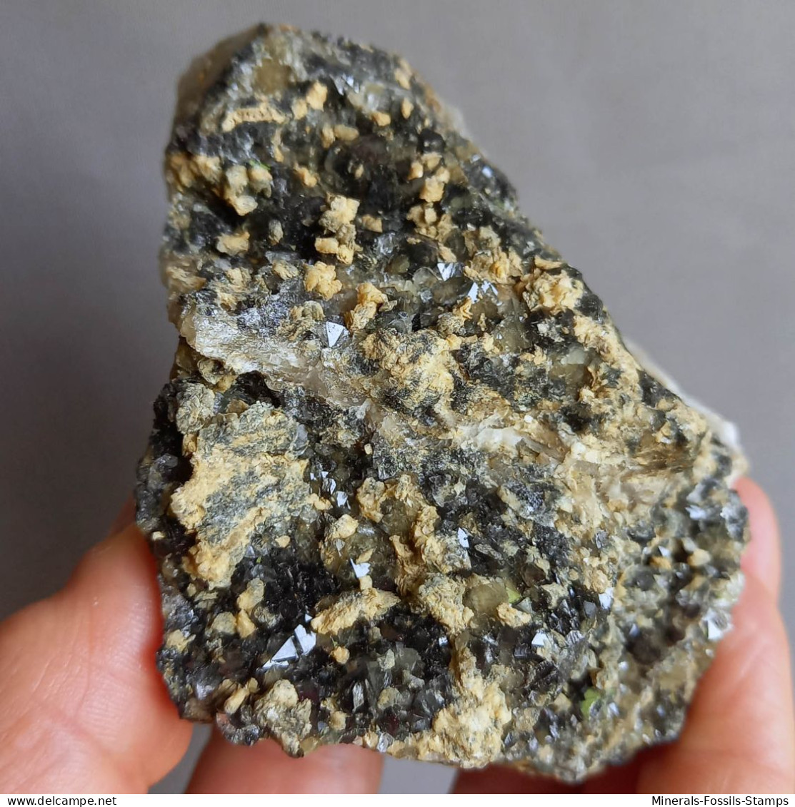 #1.53 Cristalli Nero-blu QUARZO 'beta' Con Rose Di Barite (Modena, Italia) - Mineralen
