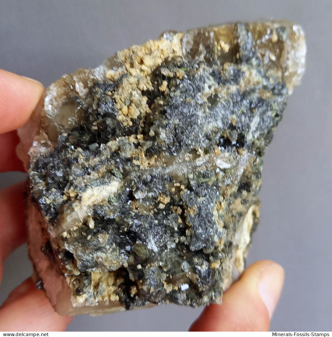 #1.53 Cristalli Nero-blu QUARZO 'beta' Con Rose Di Barite (Modena, Italia) - Minéraux