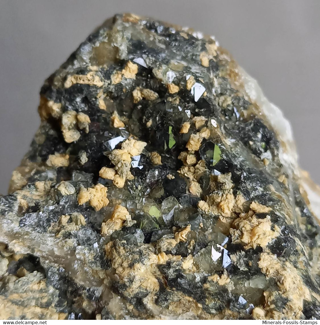 #1.53 Cristalli Nero-blu QUARZO 'beta' Con Rose Di Barite (Modena, Italia) - Mineralien