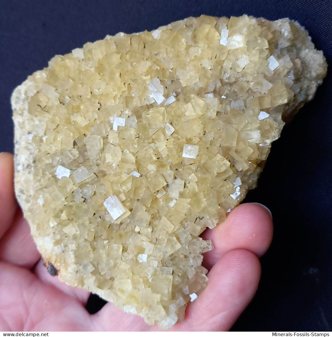#1.54 - Bella FLUORITE Con Barite Cristalli (Is Murvonis, Sardegna, Italia) - Minerals