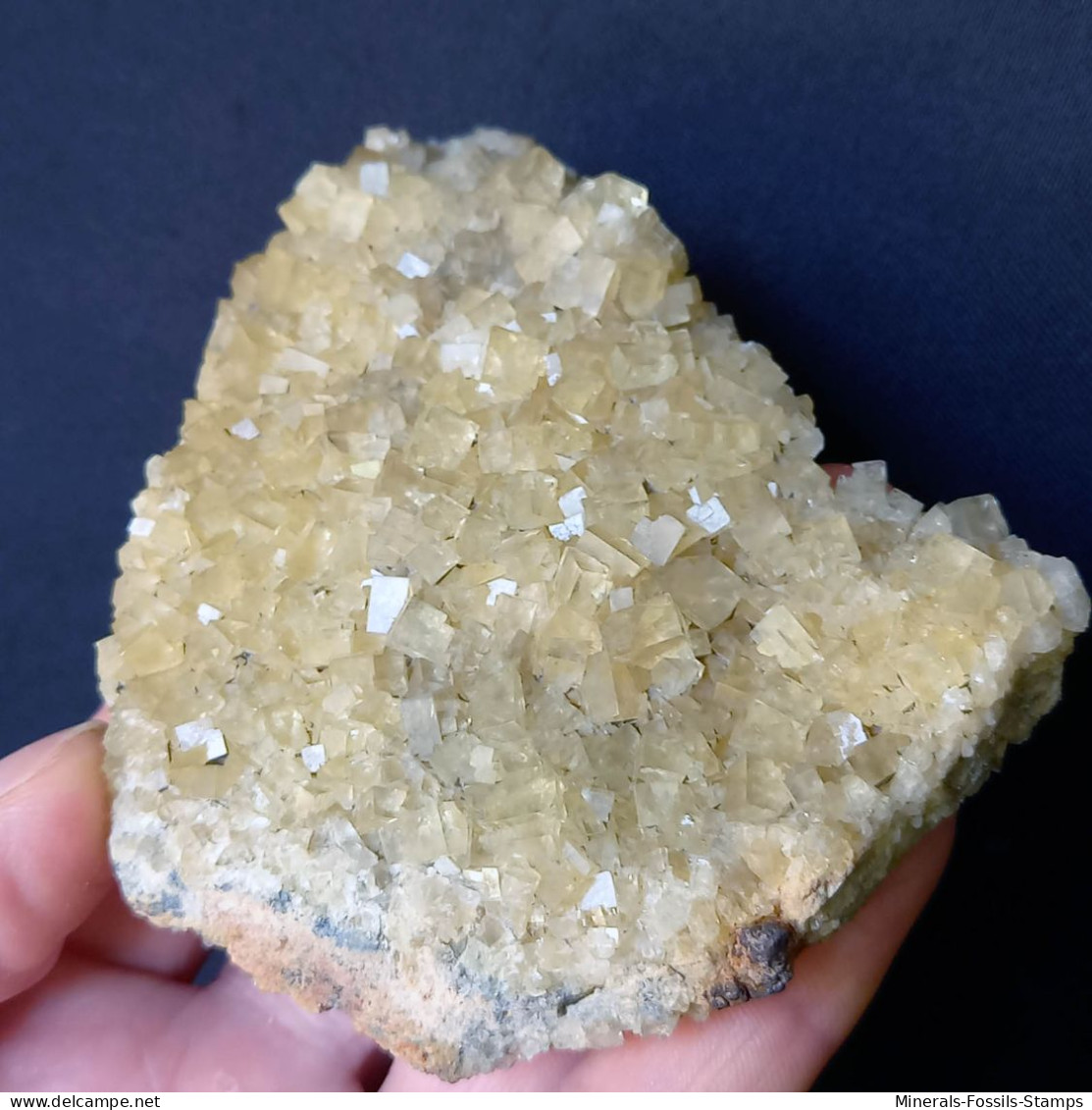 #1.54 - Bella FLUORITE Con Barite Cristalli (Is Murvonis, Sardegna, Italia) - Minerals