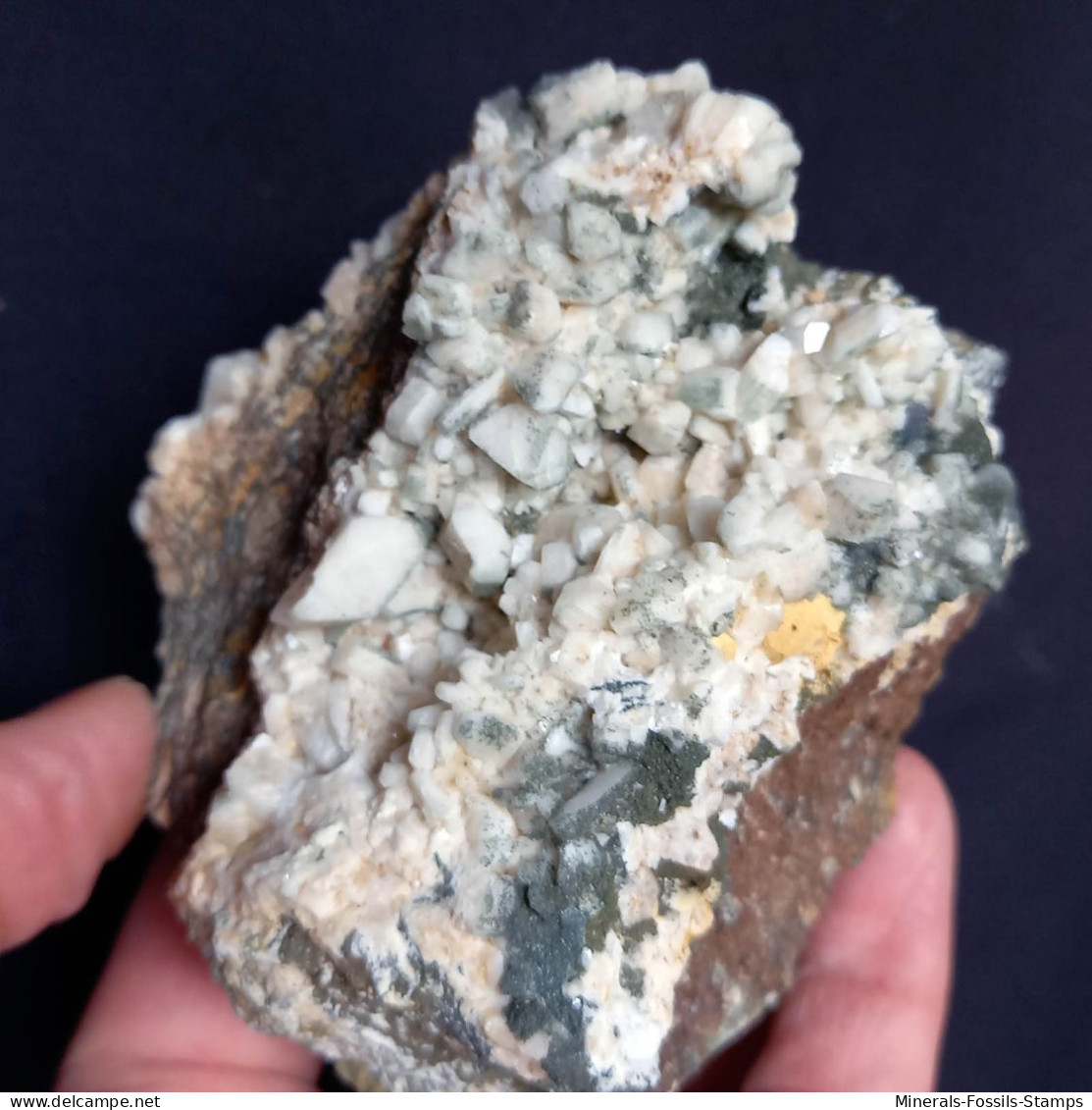 #1.56 - Beaux Cristaux PERICLINO (Val Di Binn, Valais, Suisse) - Mineralien