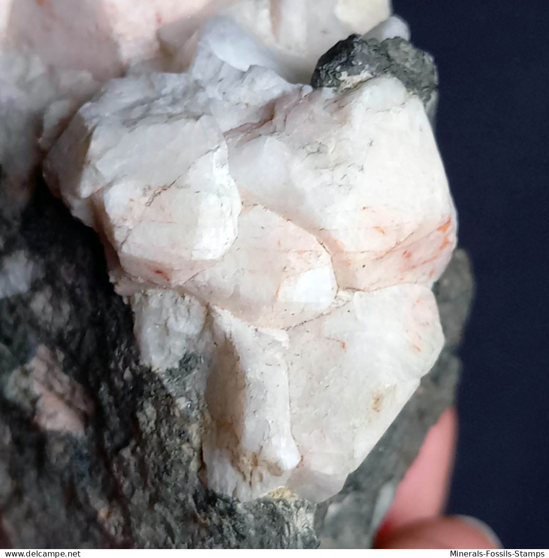 #1.57 - Grossi cristalli di ALANCIME (Alpe di Siusi, Trentino, Italia)