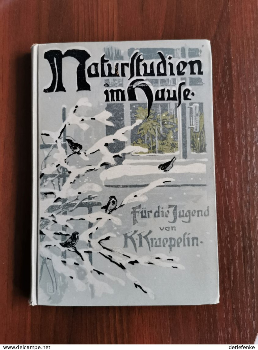 Naturstudien Im Hause - Ein Buch Für Die Jugend Von Damals 1910 - Sin Clasificación