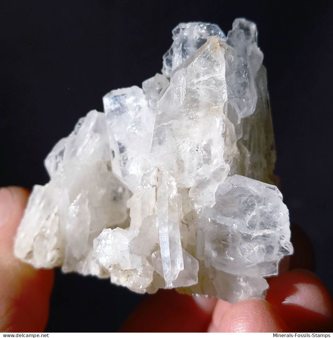 #Q45 QUARTZ à Ame (Faden Quartz) Cristaux (Orelle, Savoie, France) - Mineralien