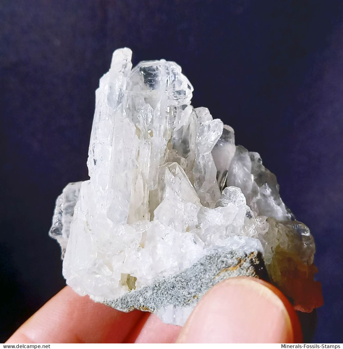 #Q45 QUARTZ à Ame (Faden Quartz) Cristaux (Orelle, Savoie, France) - Mineralen