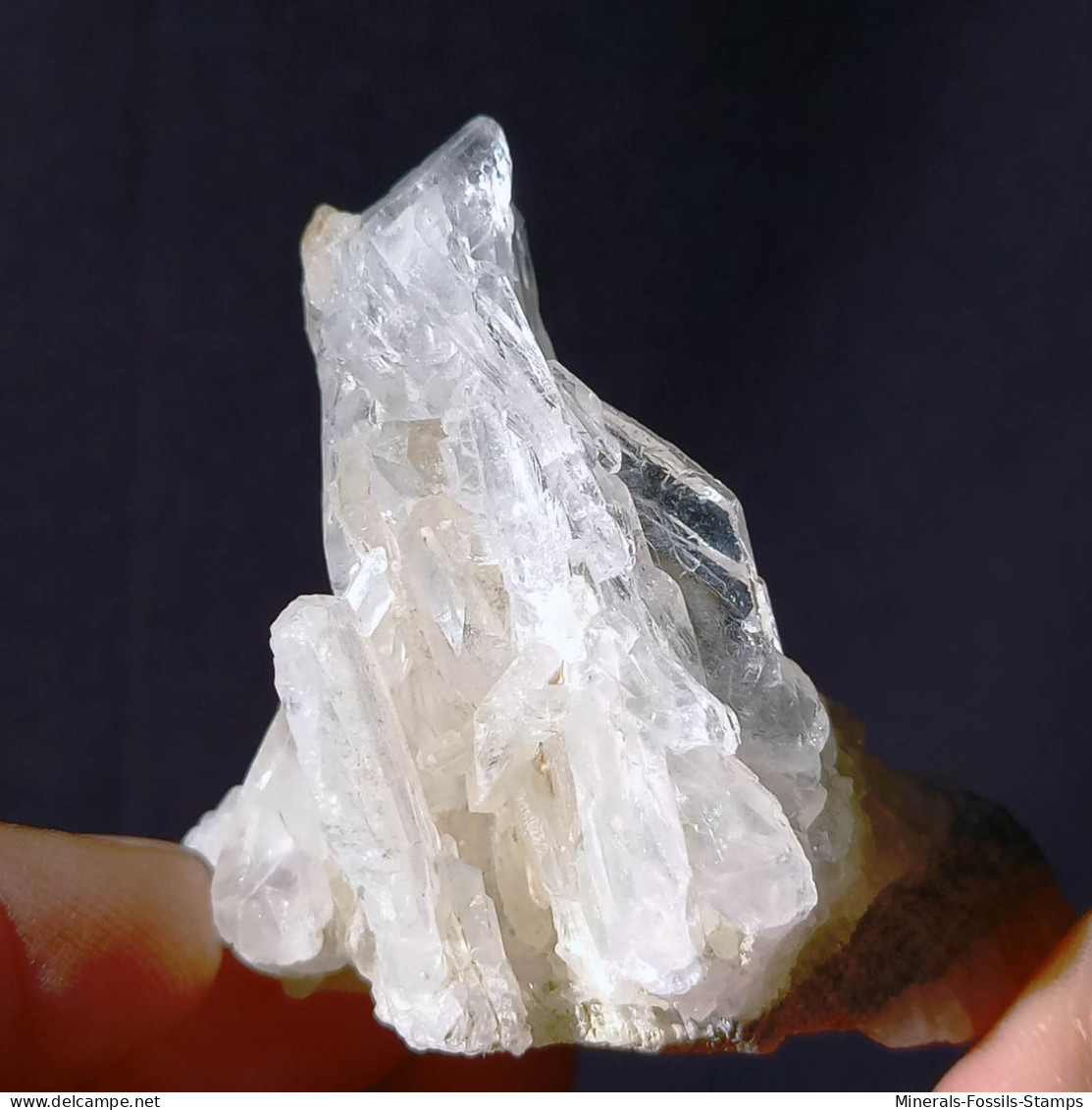 #Q45 QUARTZ à Ame (Faden Quartz) cristaux (Orelle, Savoie, France)