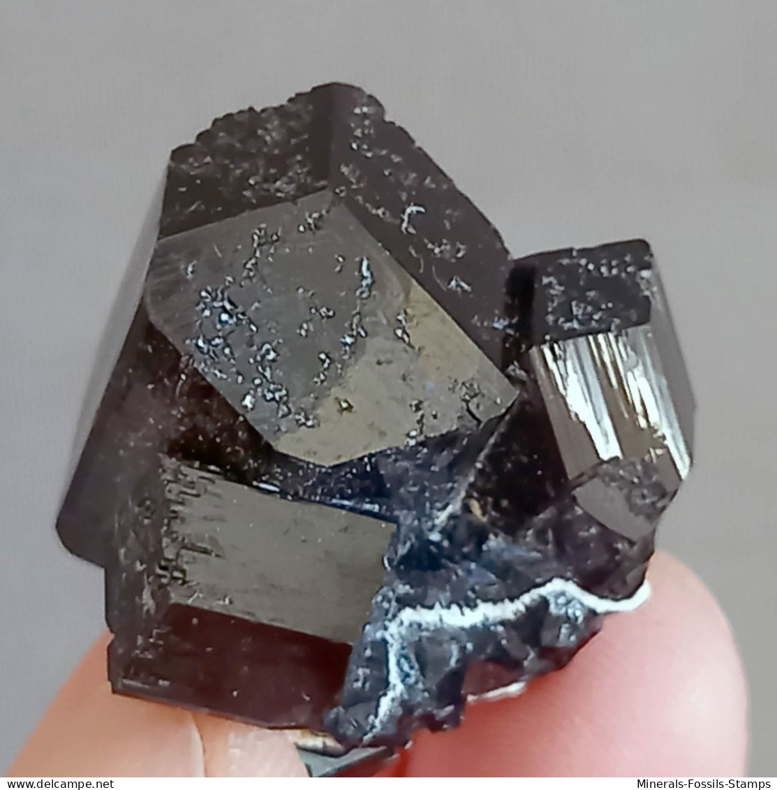 #Q46 Herrliche TURMALIN Kristalle Versch. SKORLIT (Erongo, Namibia) - Minéraux