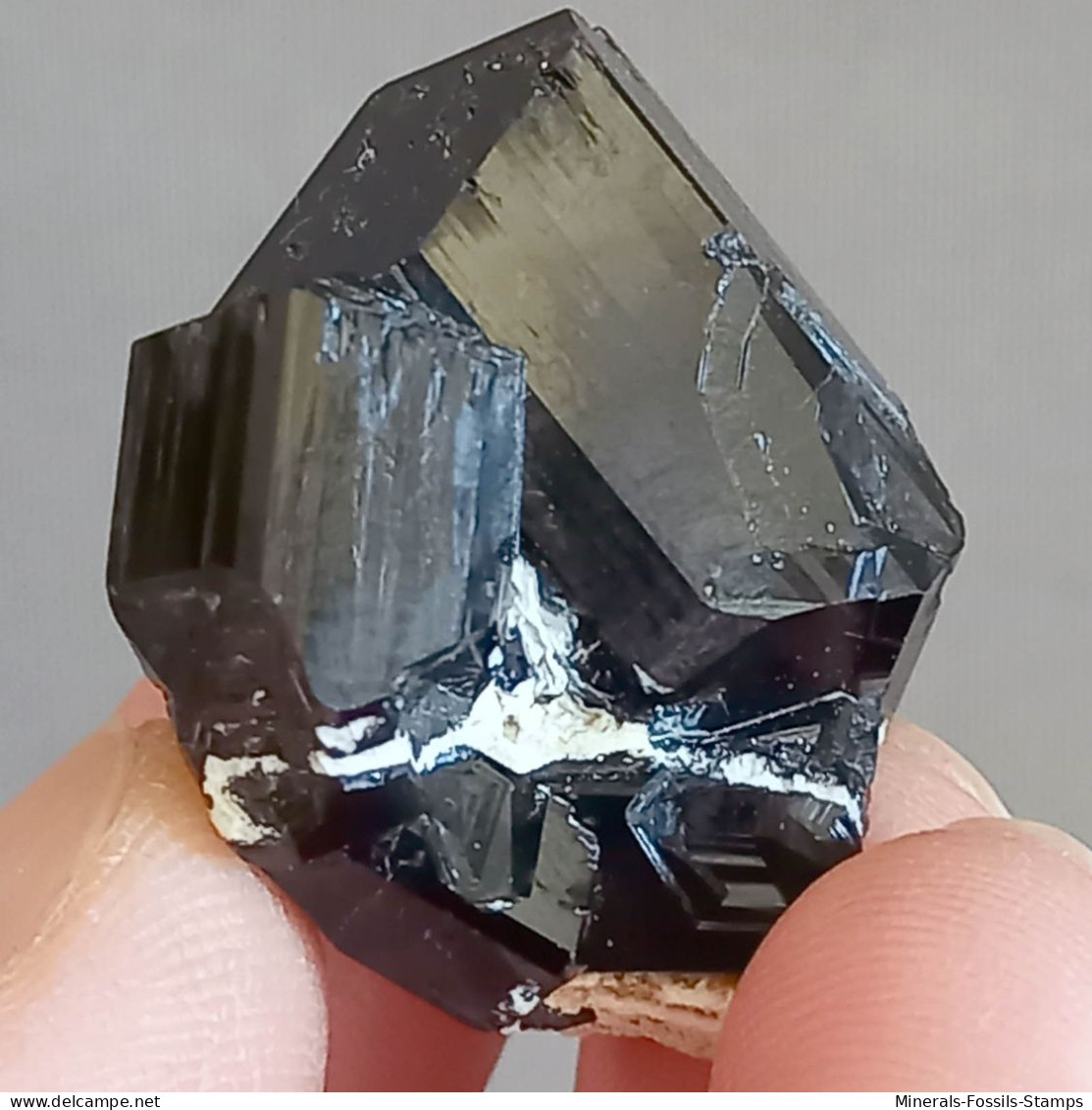 #Q46 Herrliche TURMALIN Kristalle Versch. SKORLIT (Erongo, Namibia) - Minéraux
