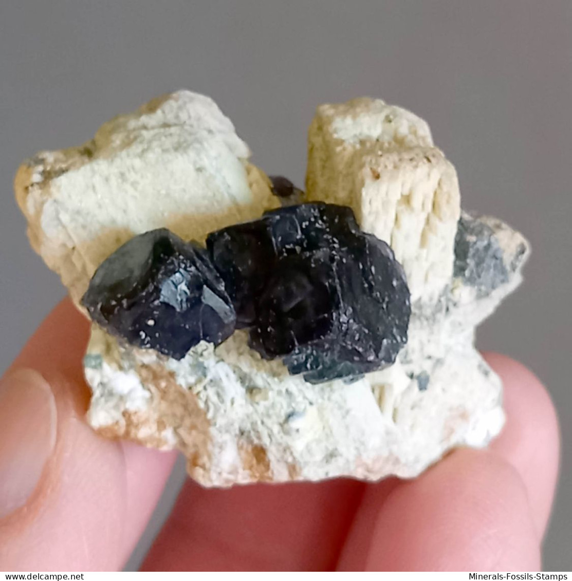 #Q47 Splendides Cristaux De TOURMALINE Var. SCHORLITE (Erongo, Namibie) - Minéraux