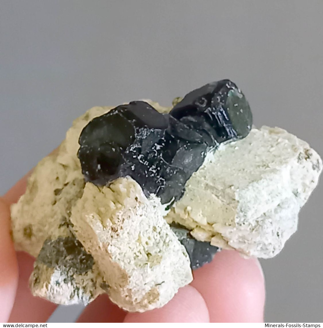 #Q47 Splendides Cristaux De TOURMALINE Var. SCHORLITE (Erongo, Namibie) - Minéraux