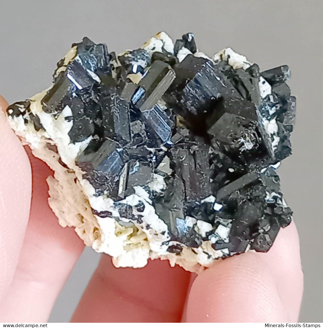 #Q48 Splendidi Cristalli Di TORMALINA Var. SCHORLITE (Erongo, Namibia) - Mineralen