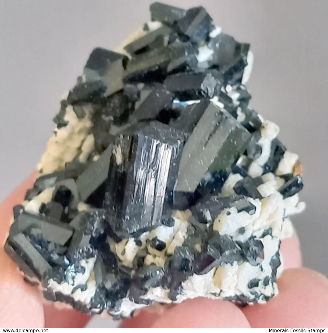 #Q48 Splendidi Cristalli Di TORMALINA Var. SCHORLITE (Erongo, Namibia) - Mineralen