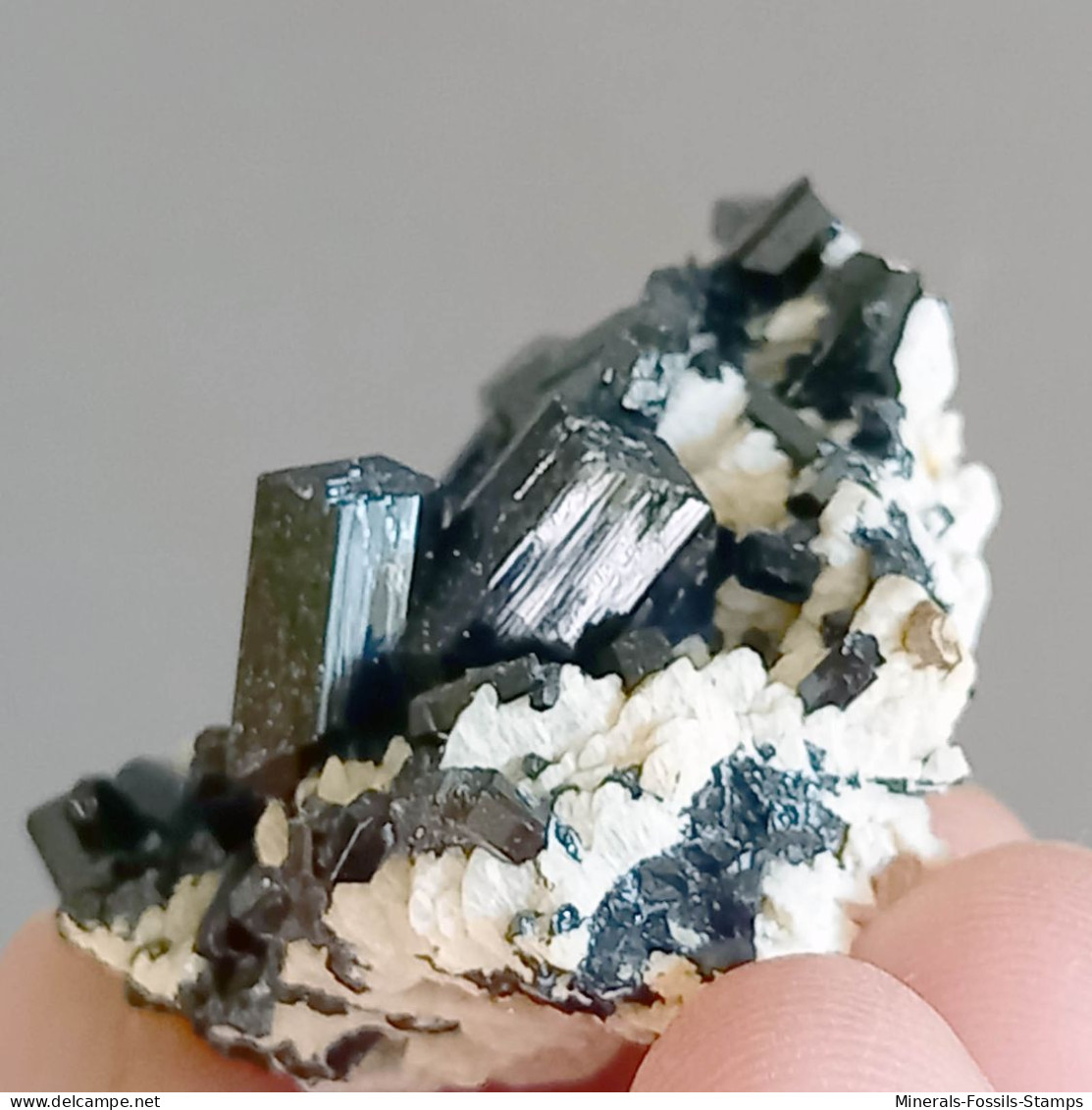 #Q48 Splendidi Cristalli Di TORMALINA Var. SCHORLITE (Erongo, Namibia) - Mineralen