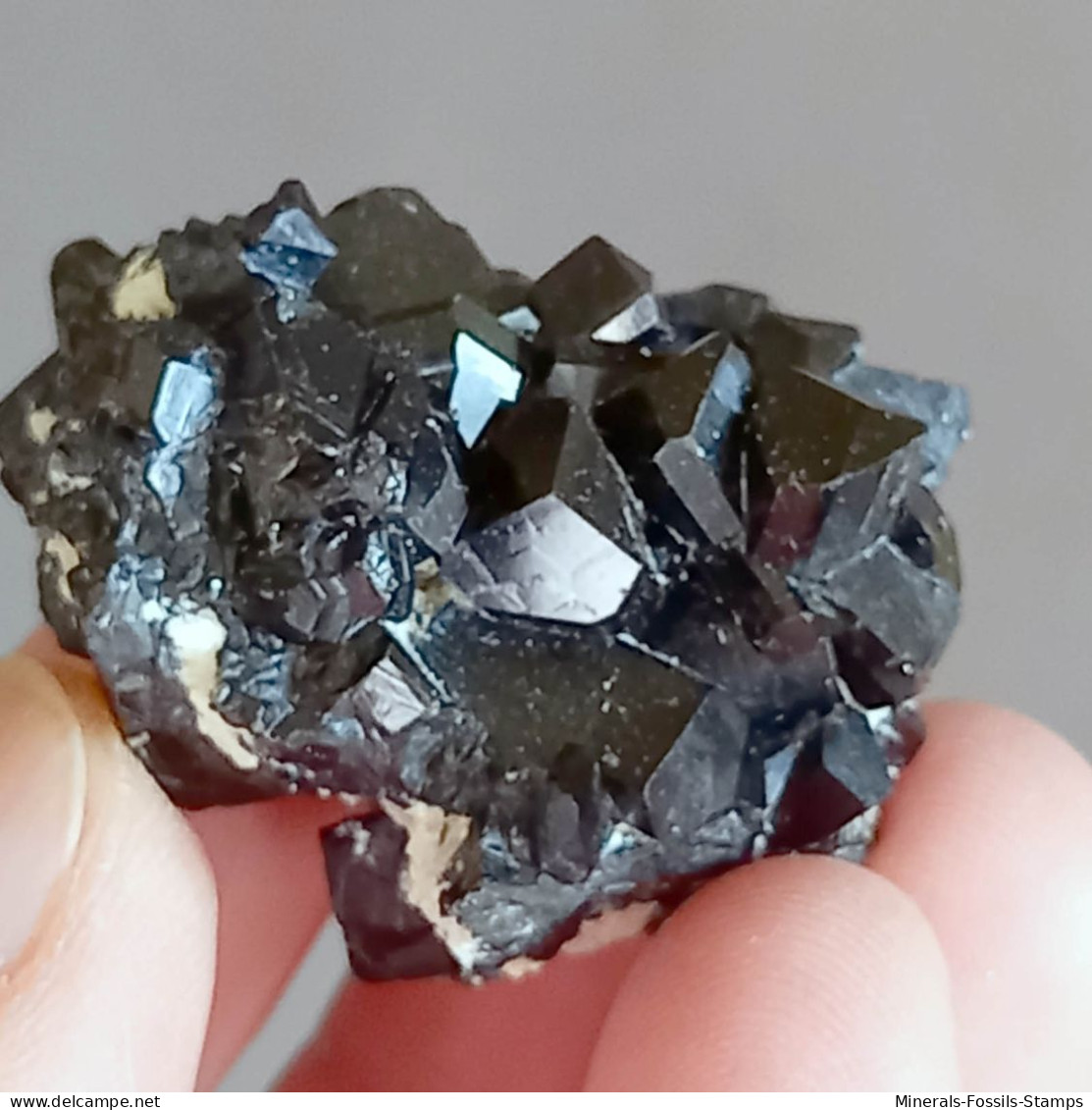 #Q49 Splendid TOURMALINE Crystals Var. SCHORLITE (Erongo, Namibia) - Mineralen