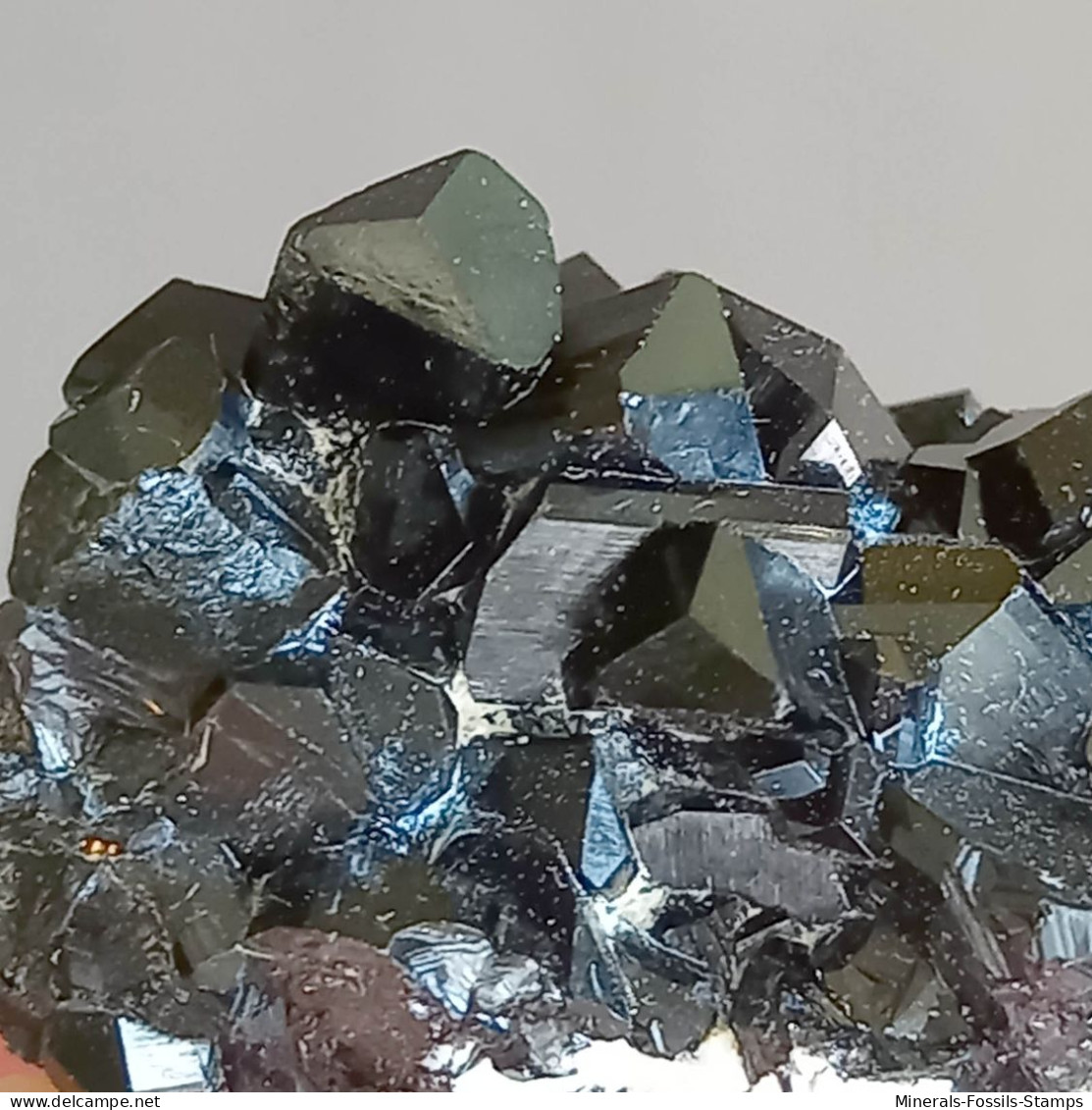 #Q49 Splendid TOURMALINE crystals var. SCHORLITE (Erongo, Namibia)