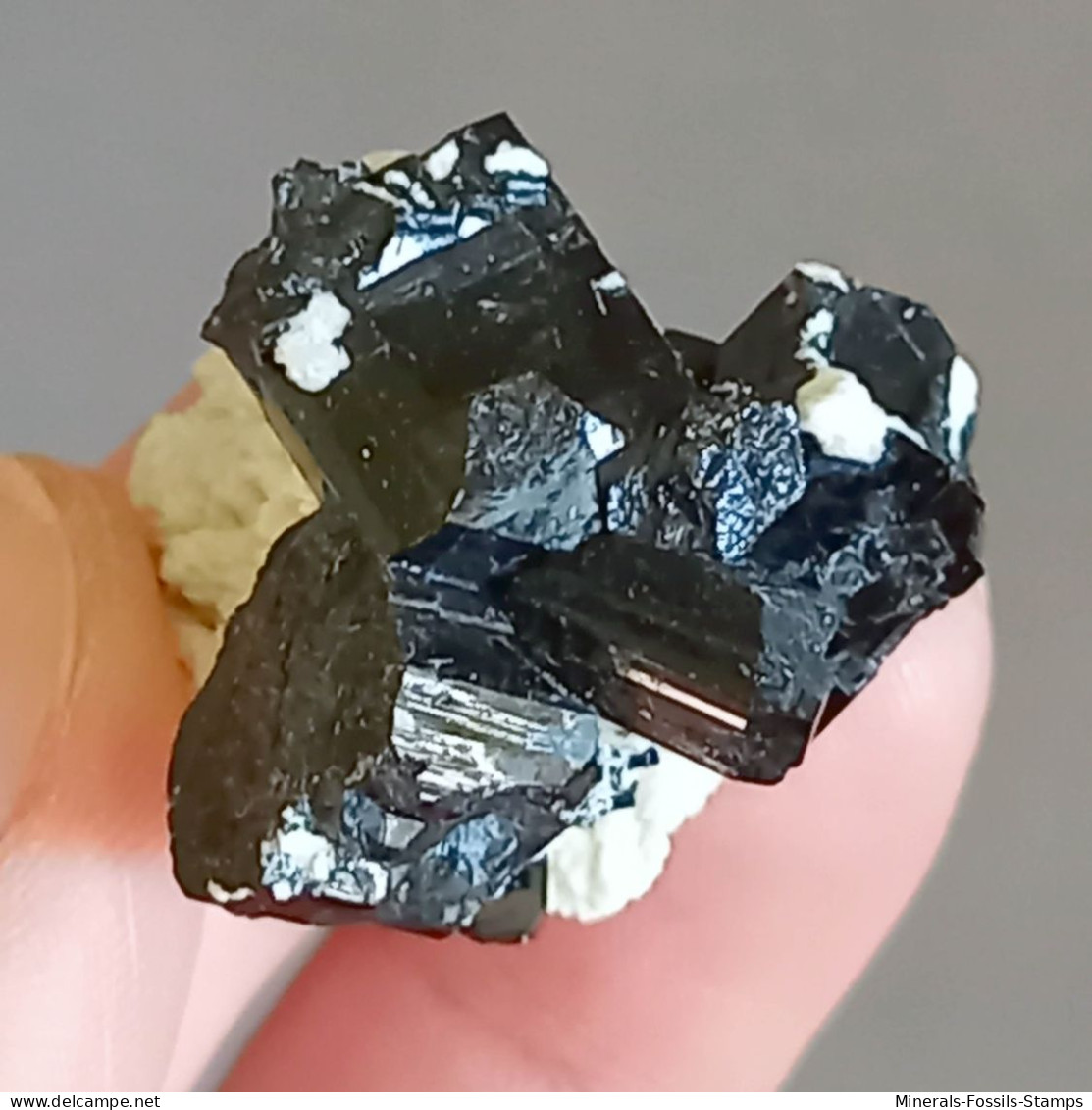 #Q50 Splendidi Cristalli Di TORMALINA Var. SCHORLITE (Erongo, Namibia) - Mineralen