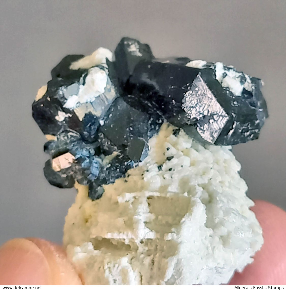 #Q50 Splendidi Cristalli Di TORMALINA Var. SCHORLITE (Erongo, Namibia) - Mineralen