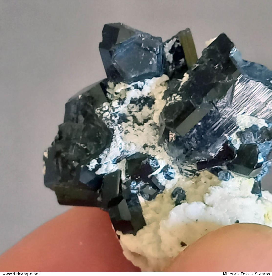 #Q50 Splendidi Cristalli Di TORMALINA Var. SCHORLITE (Erongo, Namibia) - Mineralien