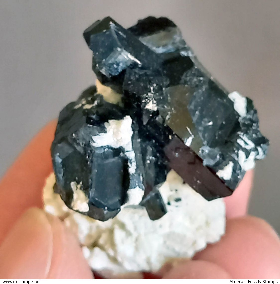 #Q50 Splendidi Cristalli Di TORMALINA Var. SCHORLITE (Erongo, Namibia) - Minerali