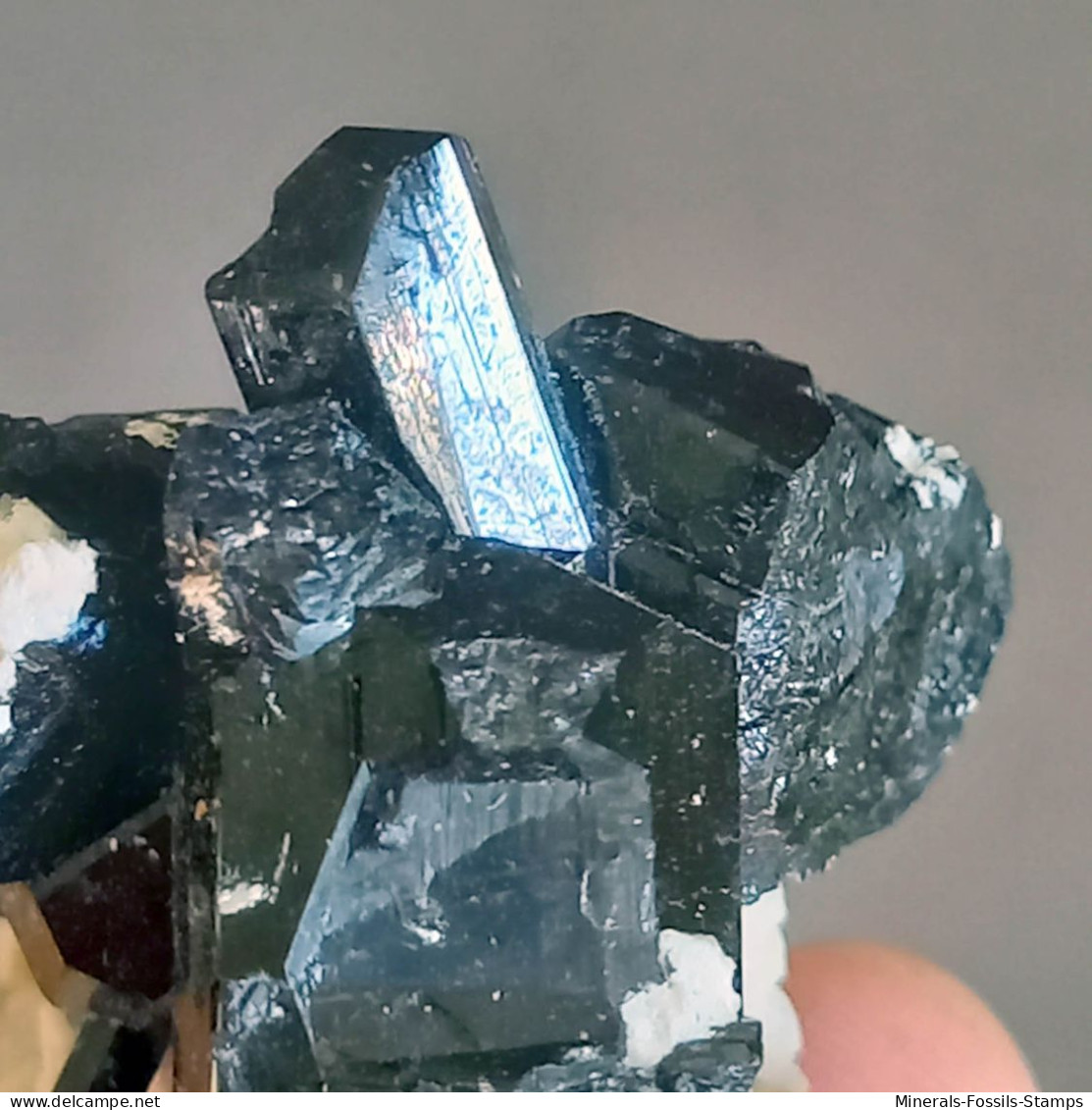 #Q50 Splendidi Cristalli Di TORMALINA Var. SCHORLITE (Erongo, Namibia) - Mineralien