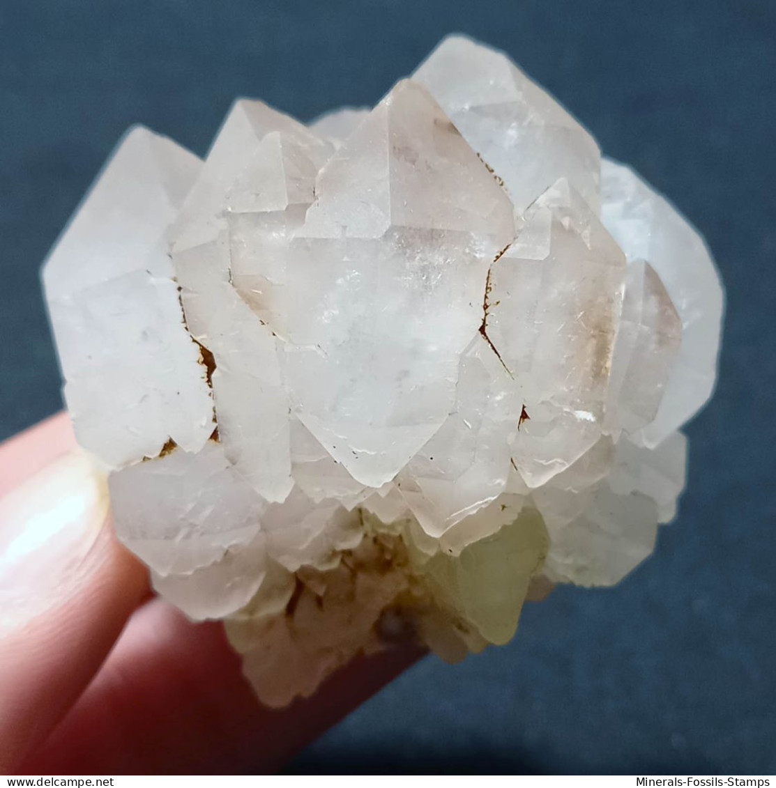 #P20 RARO Splendido Gruppo QUARZO Cristalli Geminati (Martigny, Vallese, Svizzera) - Minerals