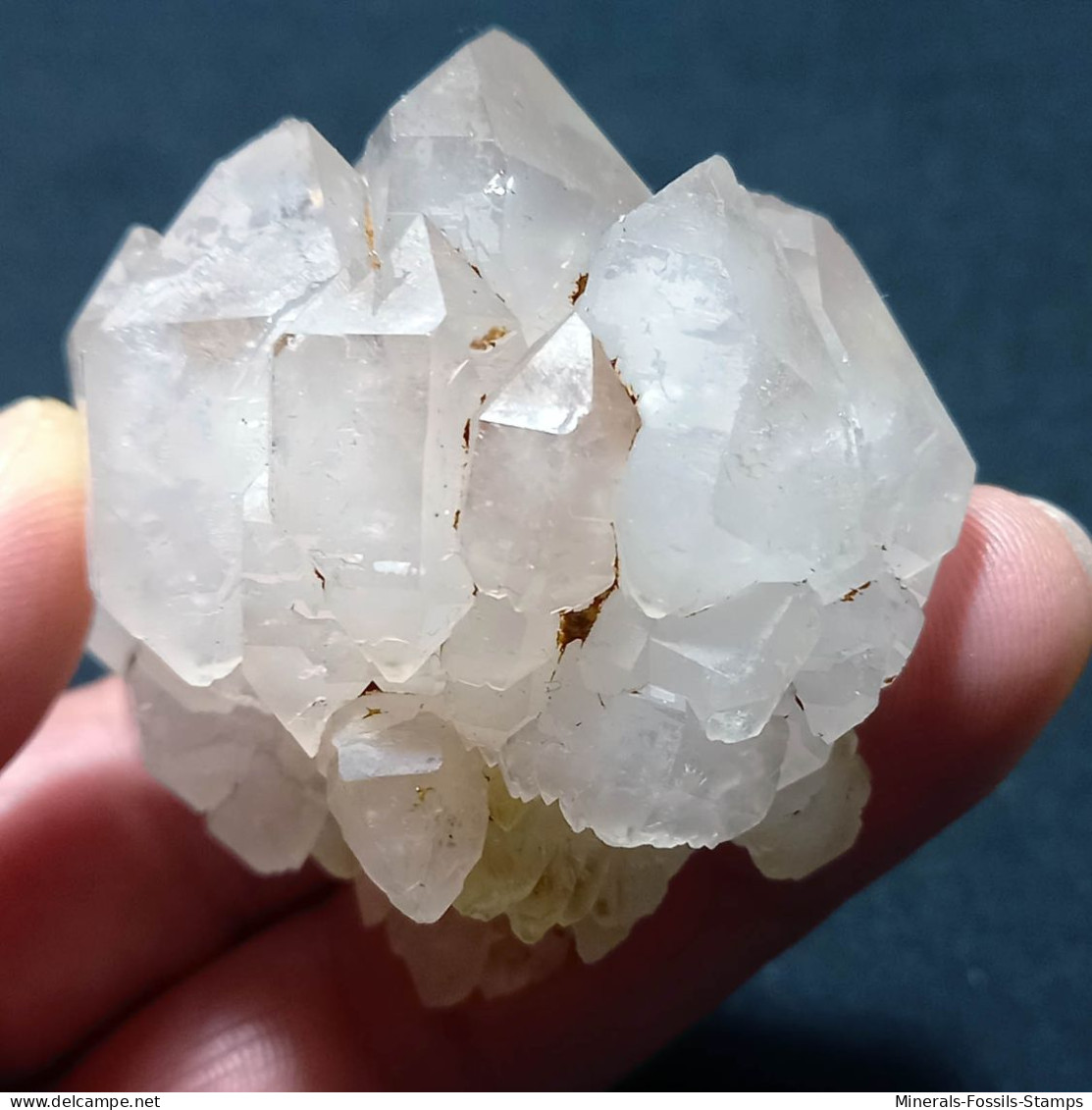 #P20 RARO Splendido Gruppo QUARZO Cristalli Geminati (Martigny, Vallese, Svizzera) - Minerales