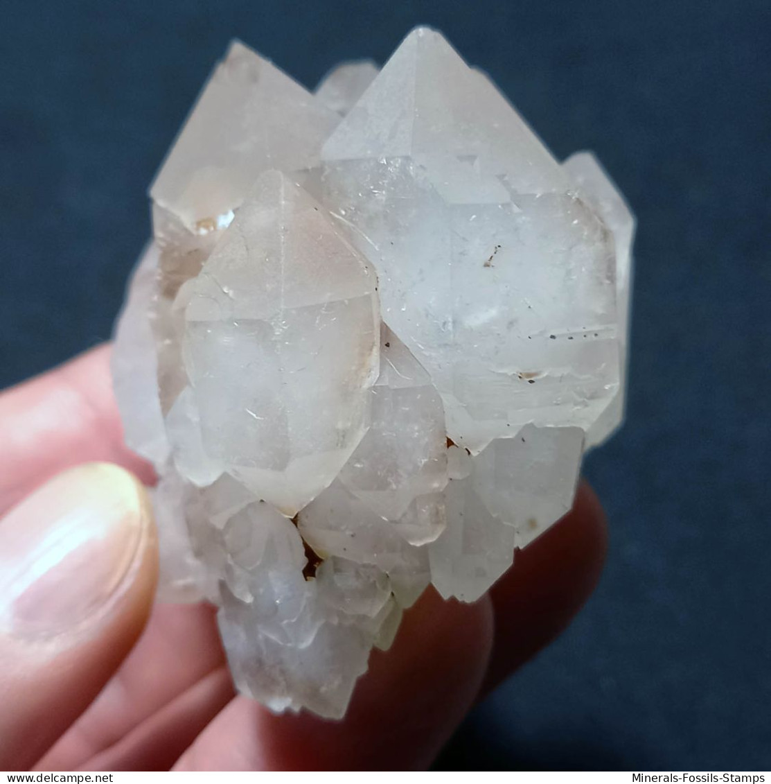 #P20 RARO Splendido Gruppo QUARZO Cristalli Geminati (Martigny, Vallese, Svizzera) - Minerales