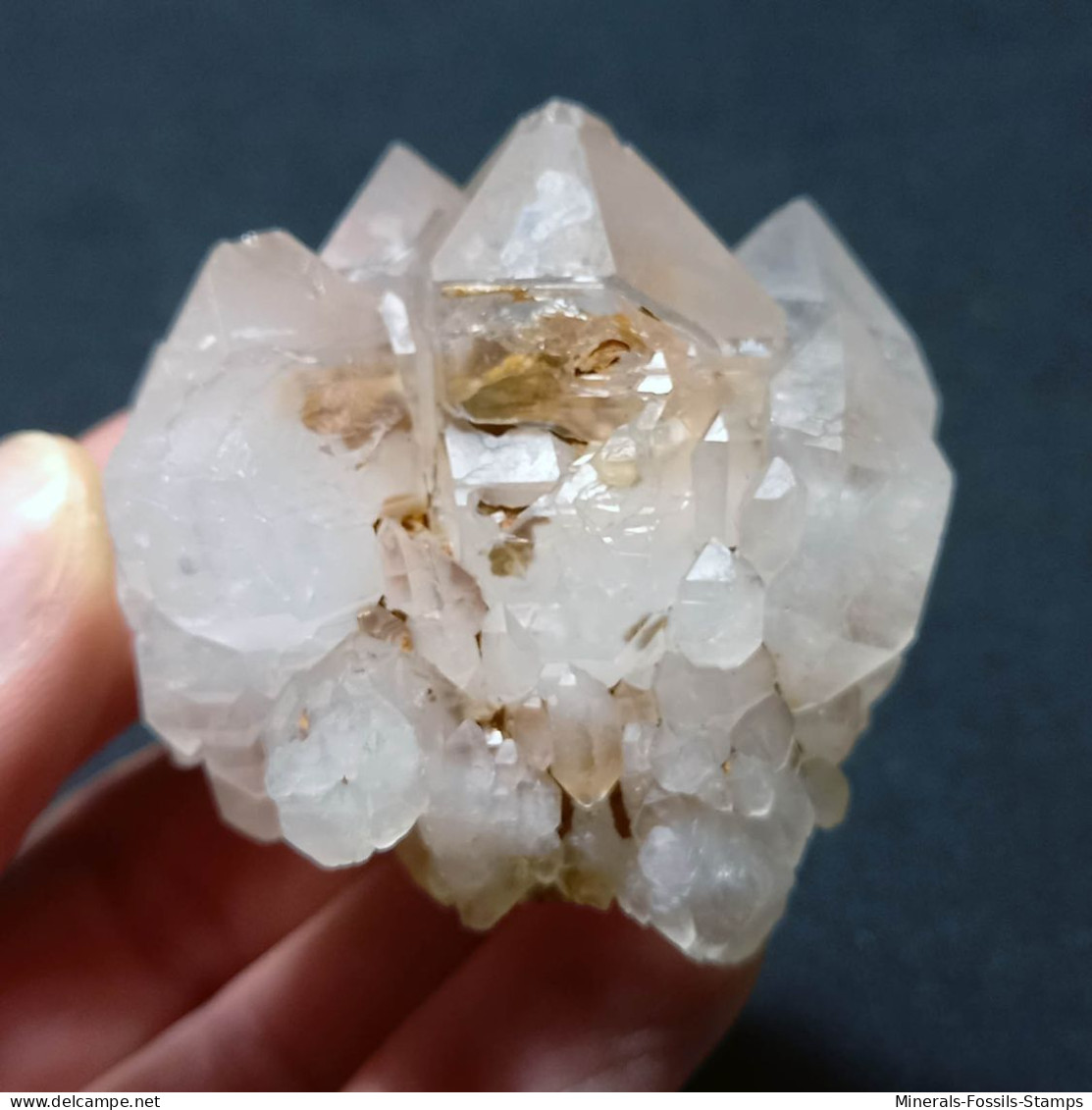 #P20 RARO Splendido Gruppo QUARZO Cristalli Geminati (Martigny, Vallese, Svizzera) - Minerals