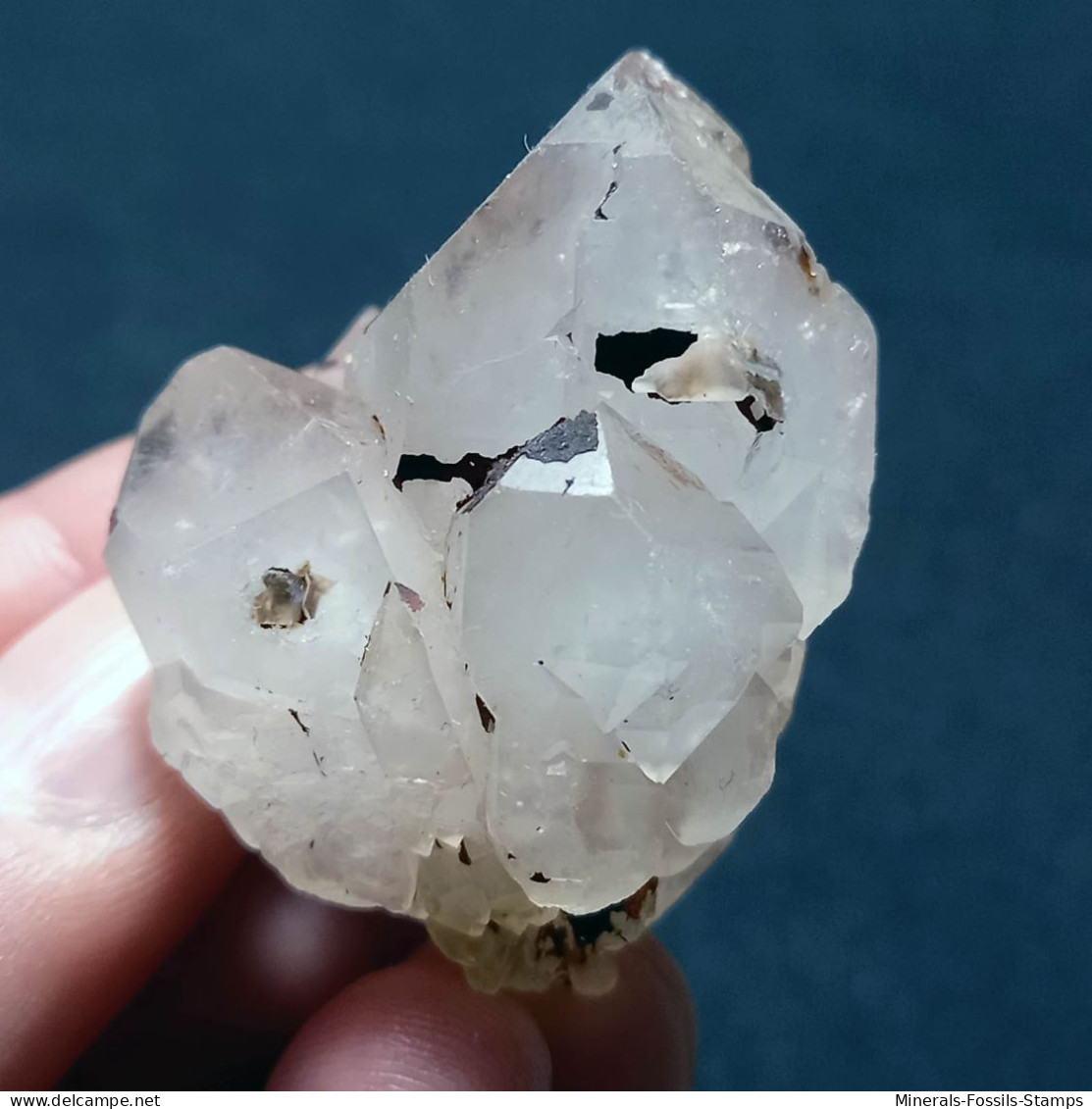 #P21 RARE Splendide Groupe QUARTZ Cristaux Maclés (Martigny, Valais, Suisse) - Minerales