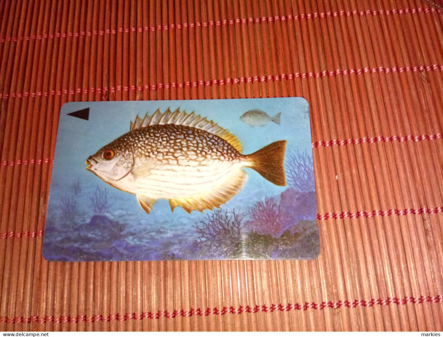 FISH  PHONECARD 39BAHRARE - Bahrain