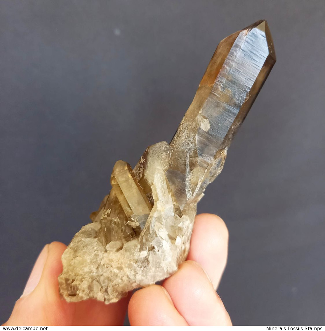 #01 – SCHÖNE MORIONE QUARZ Kristalle (Kara-Oba, Moiynkum, Jambyl, Kasachstan) - Minerales