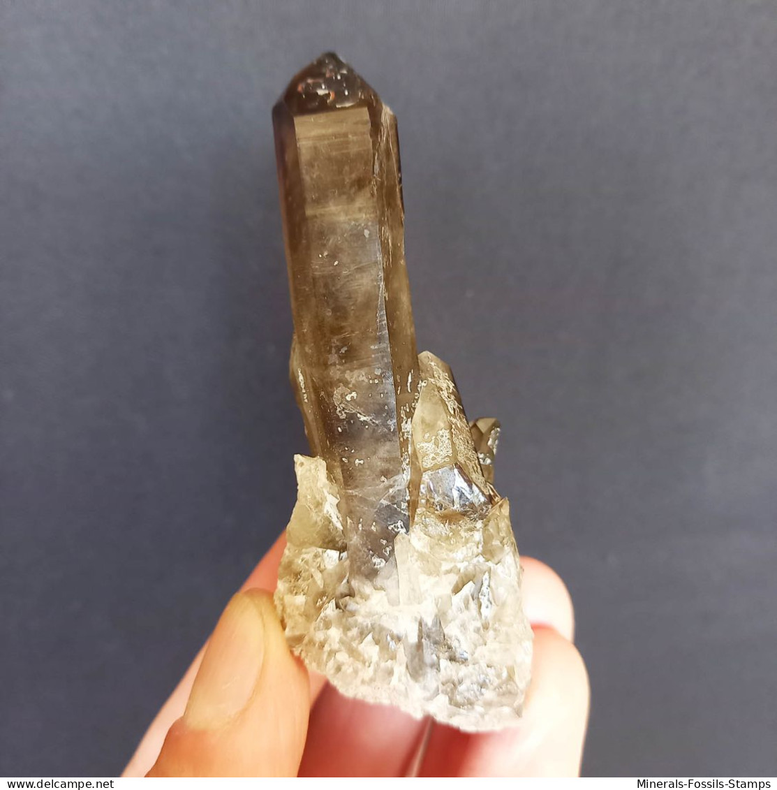 #01 – SCHÖNE MORIONE QUARZ Kristalle (Kara-Oba, Moiynkum, Jambyl, Kasachstan) - Mineralien