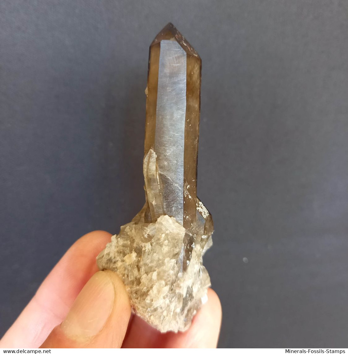 #01 – SCHÖNE MORIONE QUARZ Kristalle (Kara-Oba, Moiynkum, Jambyl, Kasachstan) - Mineralen