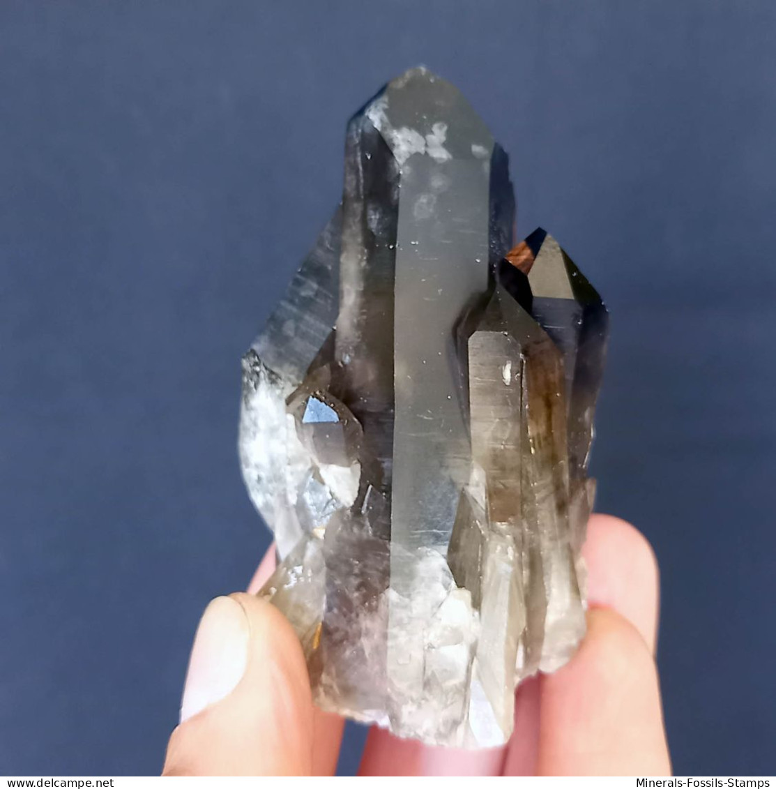 #03 – SCHÖNE MORIONE QUARZ Kristalle (Kara-Oba, Moiynkum, Jambyl, Kasachstan) - Minerals