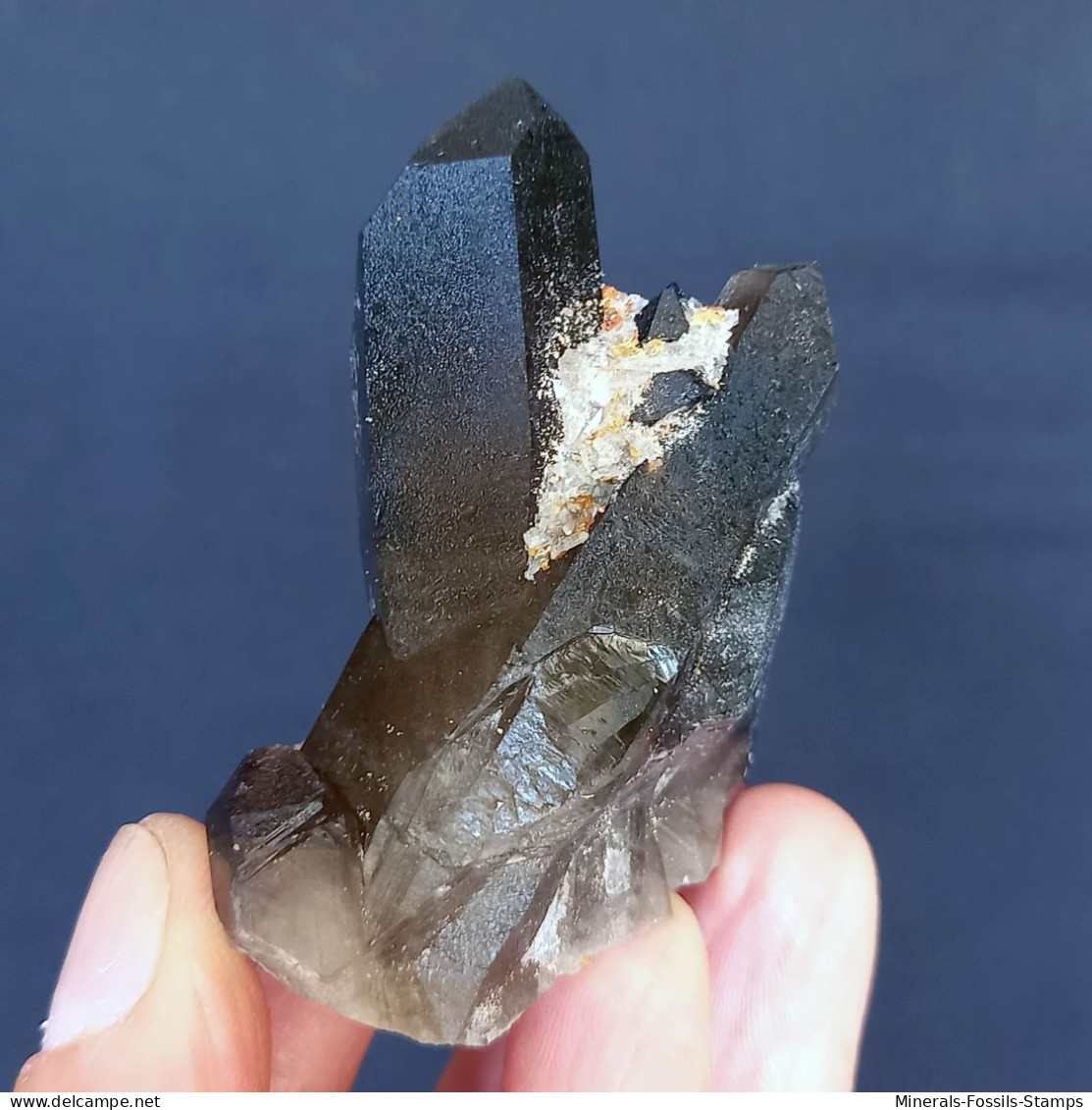 #04 – SCHÖNE MORIONE QUARZ Kristalle (Kara-Oba, Moiynkum, Jambyl, Kasachstan) - Mineralen