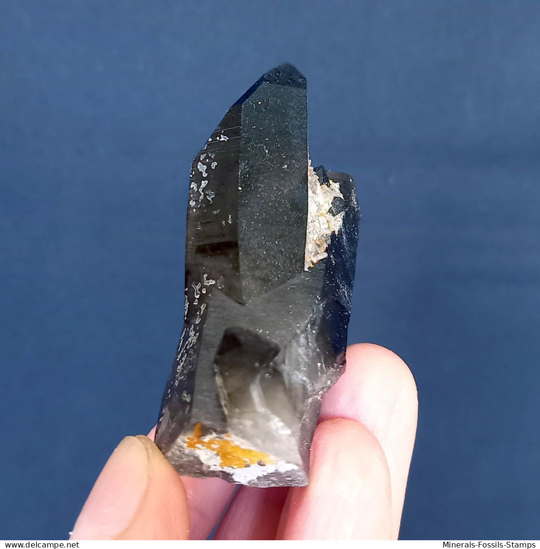 #04 – SCHÖNE MORIONE QUARZ Kristalle (Kara-Oba, Moiynkum, Jambyl, Kasachstan) - Mineralen