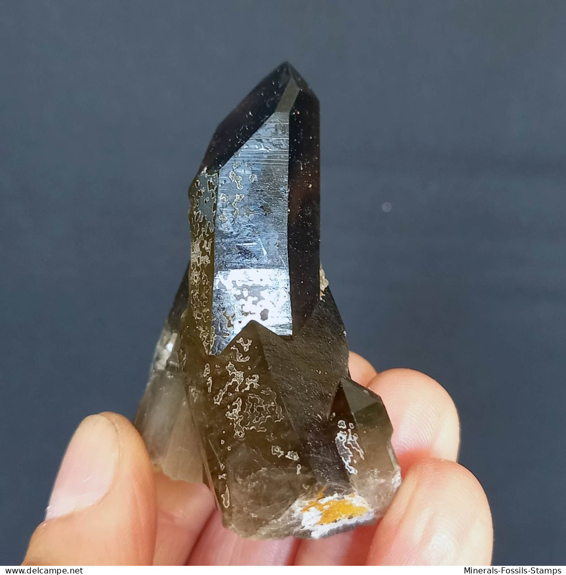 #04 – SCHÖNE MORIONE QUARZ Kristalle (Kara-Oba, Moiynkum, Jambyl, Kasachstan) - Minerales