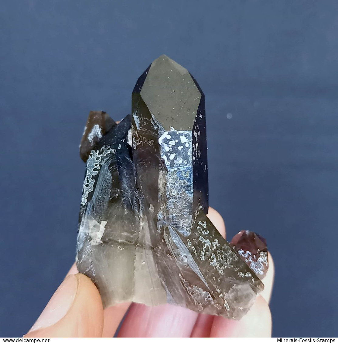 #04 – SCHÖNE MORIONE QUARZ Kristalle (Kara-Oba, Moiynkum, Jambyl, Kasachstan) - Minerals