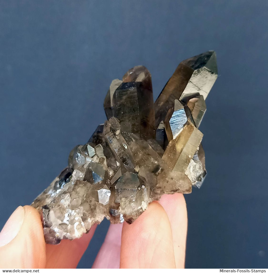 #11 - Beaux Cristaux De QUARTZ MORIONE (Kara-Oba W Deposit, Moiynkum, Jambyl Region, Kazakhstan) - Minéraux