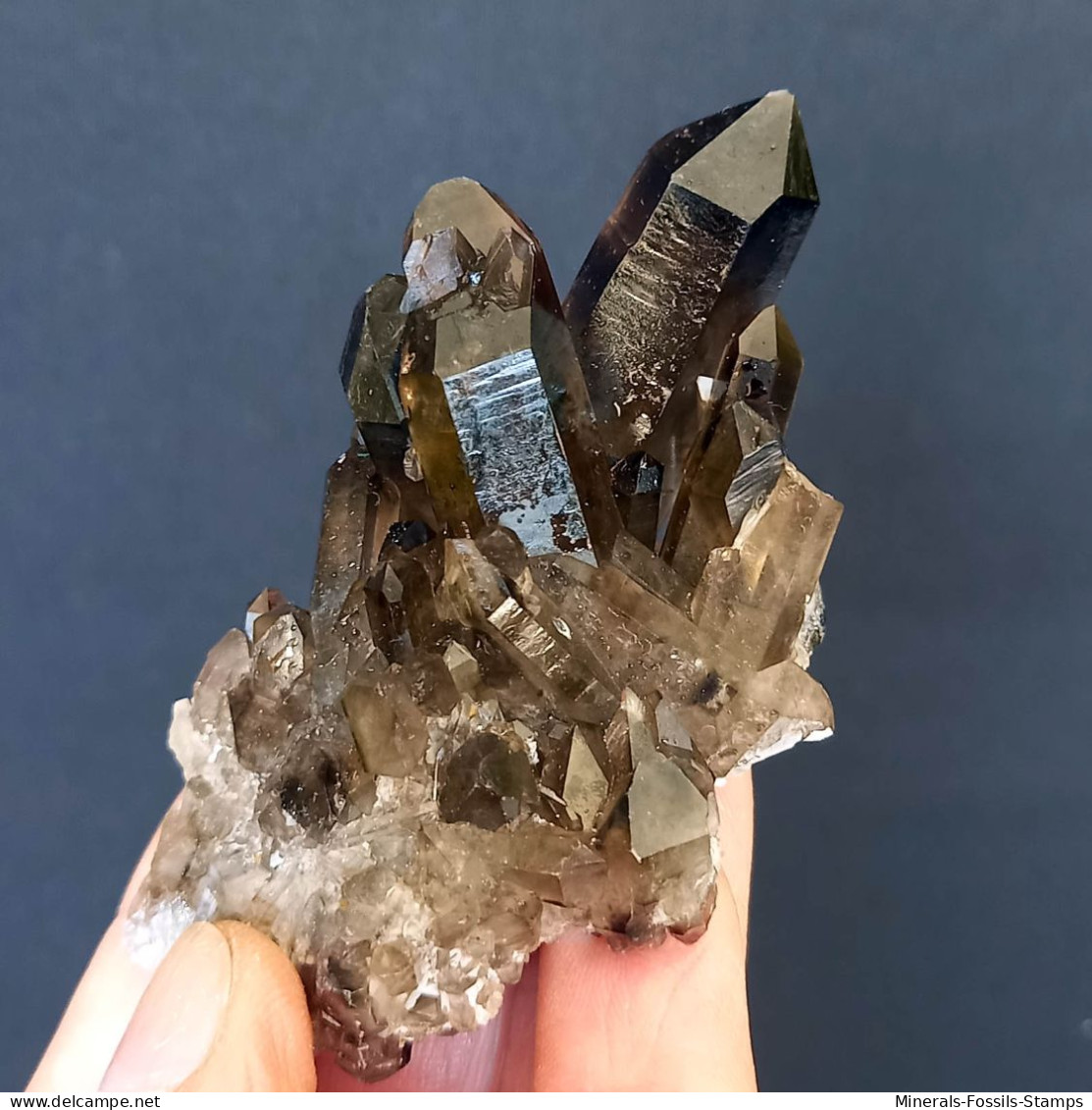 #11 - Beaux Cristaux De QUARTZ MORIONE (Kara-Oba W Deposit, Moiynkum, Jambyl Region, Kazakhstan) - Minerales