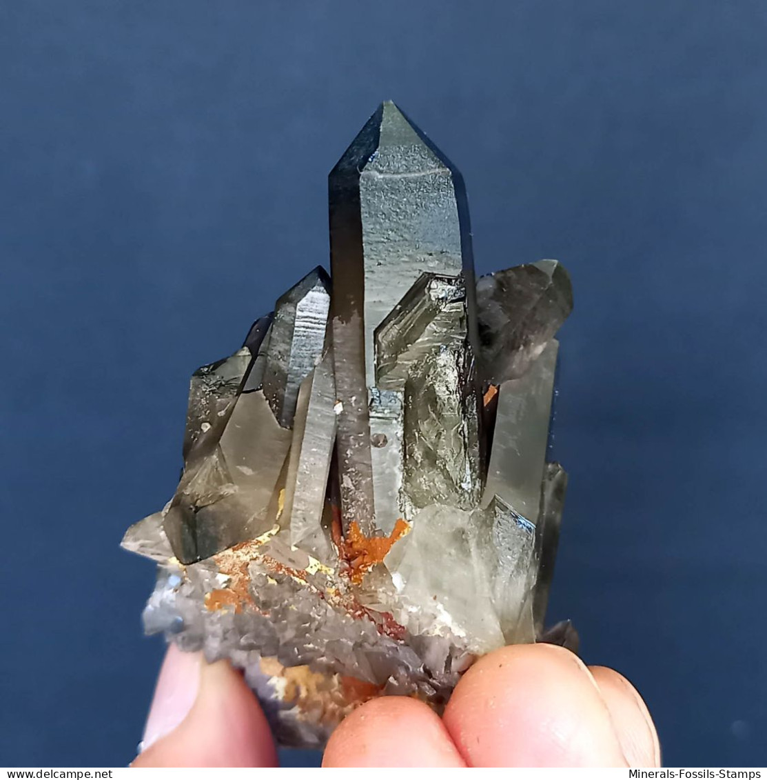 #11 - Beaux Cristaux De QUARTZ MORIONE (Kara-Oba W Deposit, Moiynkum, Jambyl Region, Kazakhstan) - Minerales