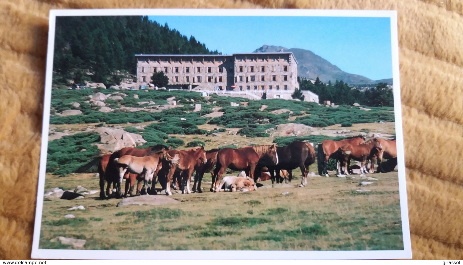 CPM CHEVAL CHEVAUX CERDAGNE PO LES BOUILLOUSES LA RESIDENCE BONES HORES ED DINO 1994 - Chevaux